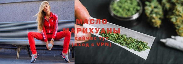 СК Алексин