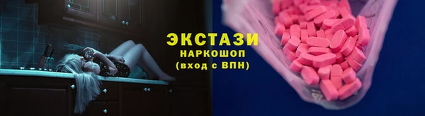 СК Алексин