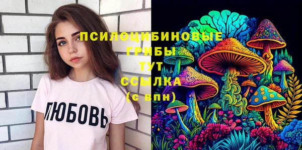 дурь Алзамай