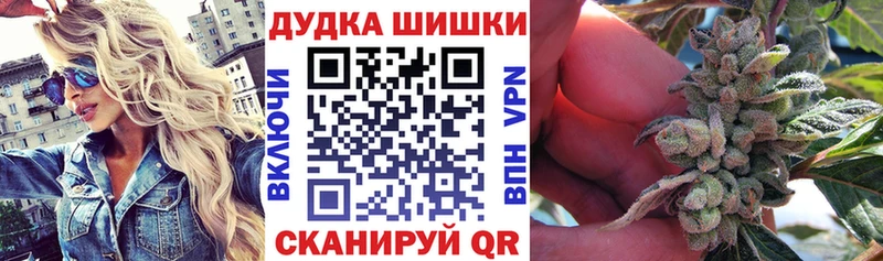 mega   Волжский  Марихуана ГИДРОПОН 